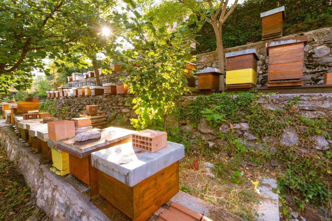 Honey Farm House เวียร์ปาซาร์ ภายนอก รูปภาพ