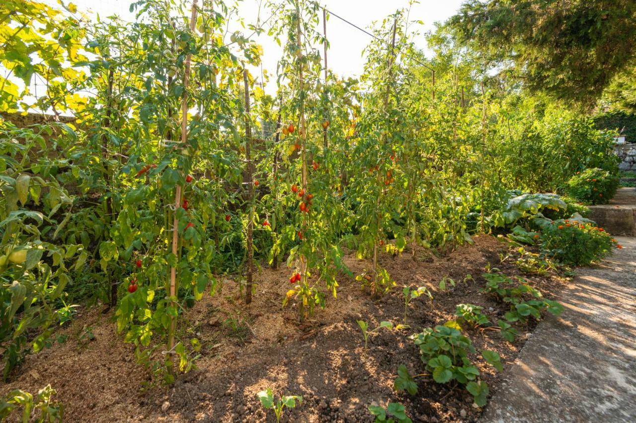 Honey Farm House เวียร์ปาซาร์ ภายนอก รูปภาพ
